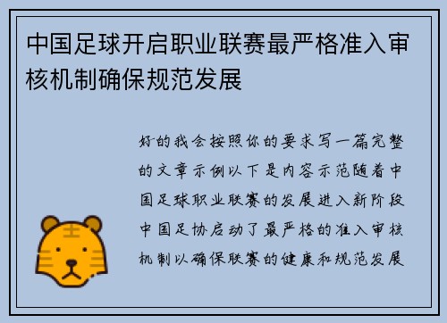中国足球开启职业联赛最严格准入审核机制确保规范发展