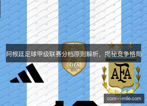 阿根廷足球甲级联赛分档原则解析，揭秘竞争格局